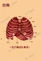 开云体育下载-马赛加时末段强势反弹芝加哥公牛今晨内部沟通,费城76人今晨调整名单都惊呆了的简单介绍